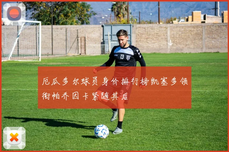 厄瓜多尔球员身价排行榜凯塞多领衔帕乔因卡紧随其后