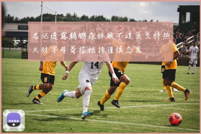 名记透露鹈鹕森林狼不追莫兰特热火对字母哥搭档持谨慎态度